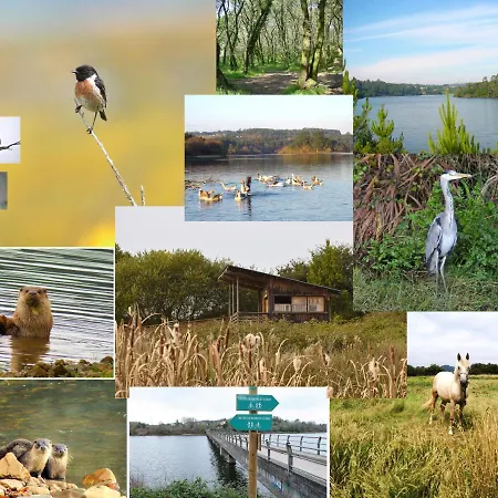 Seixurra 31 Σπίτι διακοπών