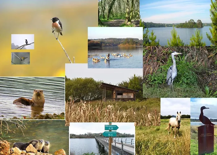Seixurra 31 Casa de Férias